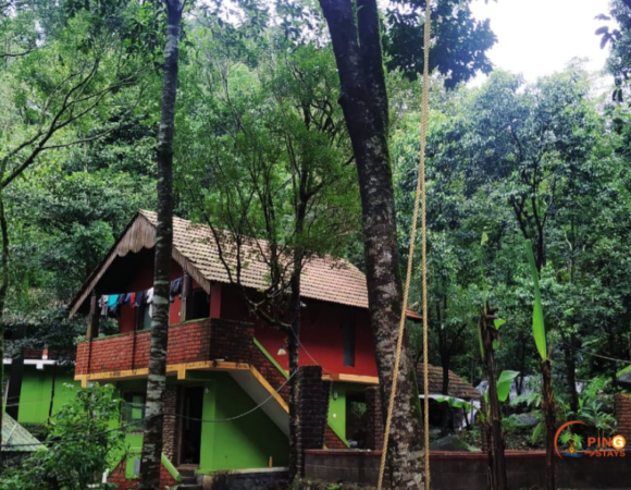 The Mountain Homestay